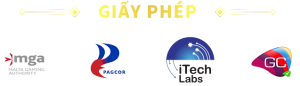 giay-phep